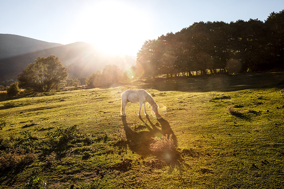 Αμύνταιο – Νάουσα: Ιστορίες από Ξινόμαυρο-13