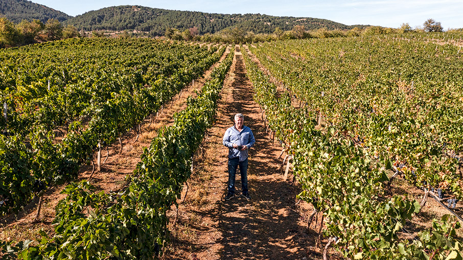 Αμύνταιο – Νάουσα: Ιστορίες από Ξινόμαυρο-5