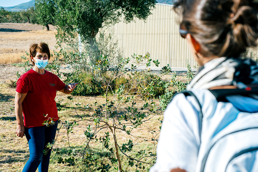 Μία μέρα στο αγρόκτημα-1