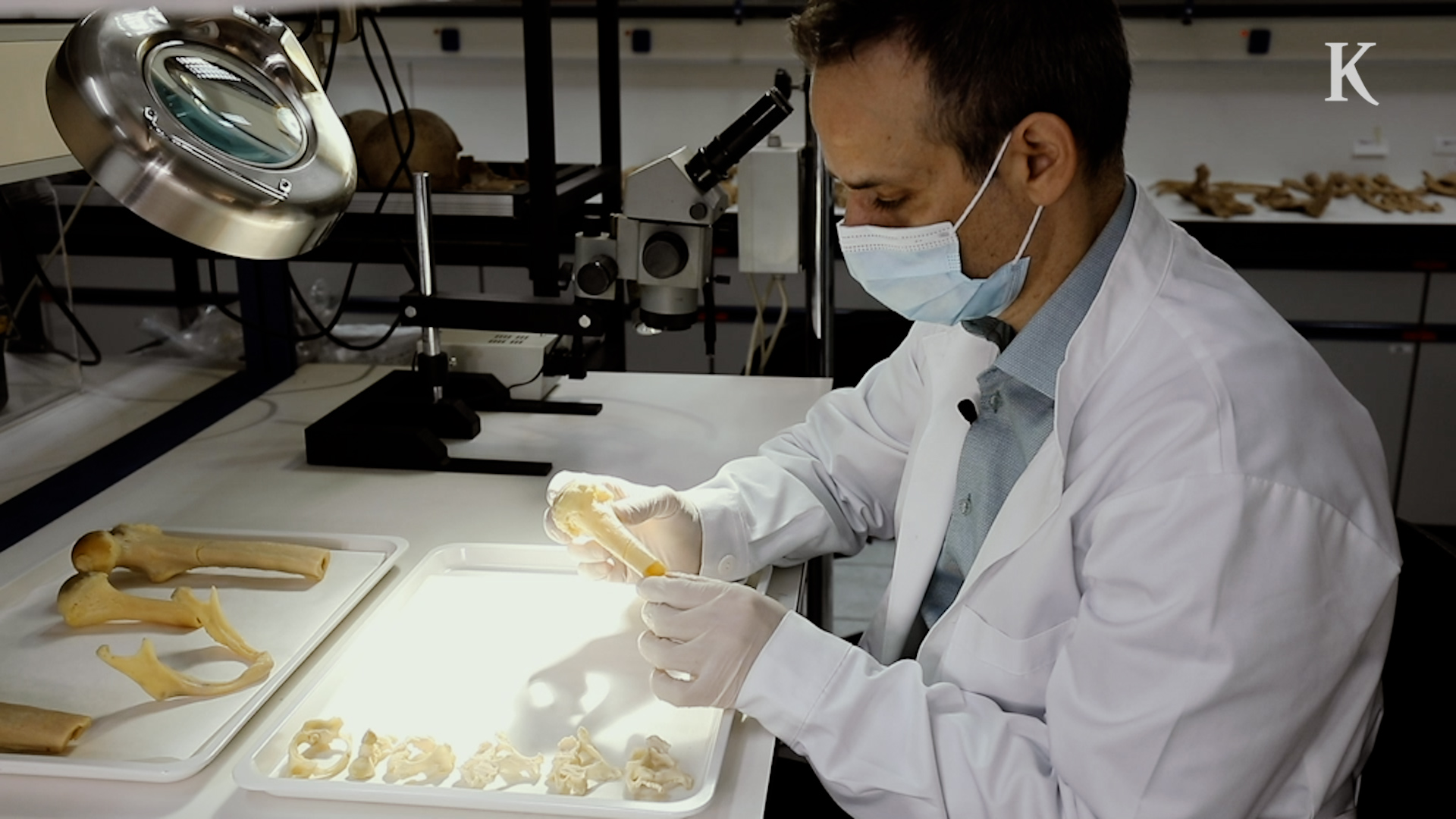 τα-μυστικά-των-οστών-το-έργο-των-δικαστ-561576049