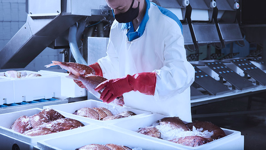 Τελικά, τί ψάρια πιάνουμε; Αλήθειες & ψέμματα γύρω από τις ιχθυοκαλλιέργειες-2