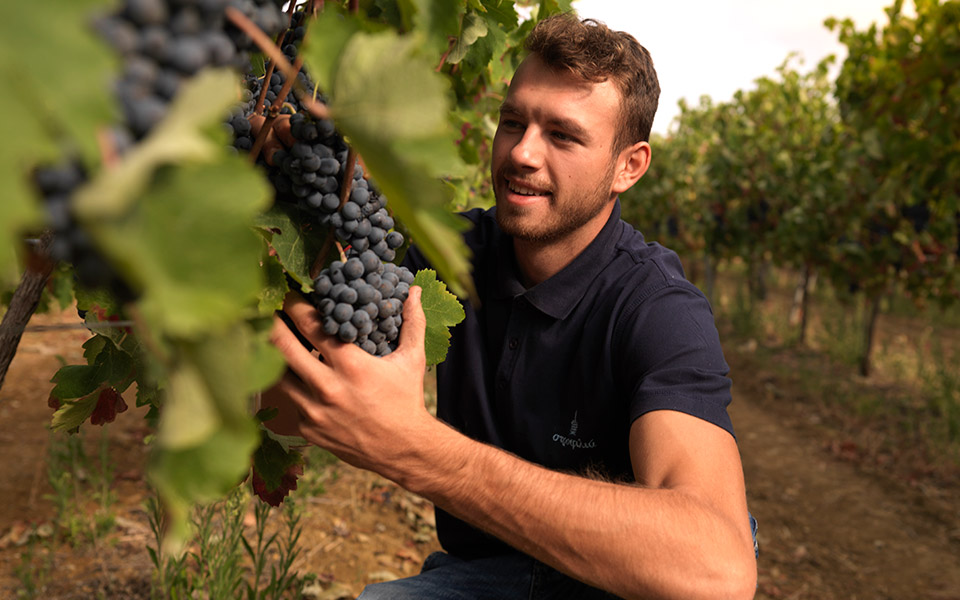 η-ελλάδα-στο-ποτήρι-561576646