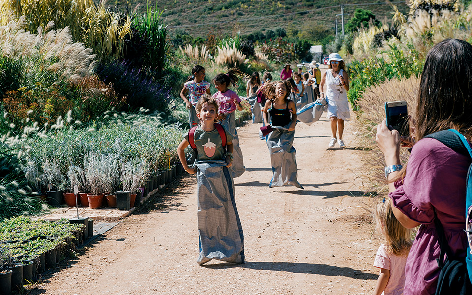 μία-μέρα-στο-αγρόκτημα-561576481