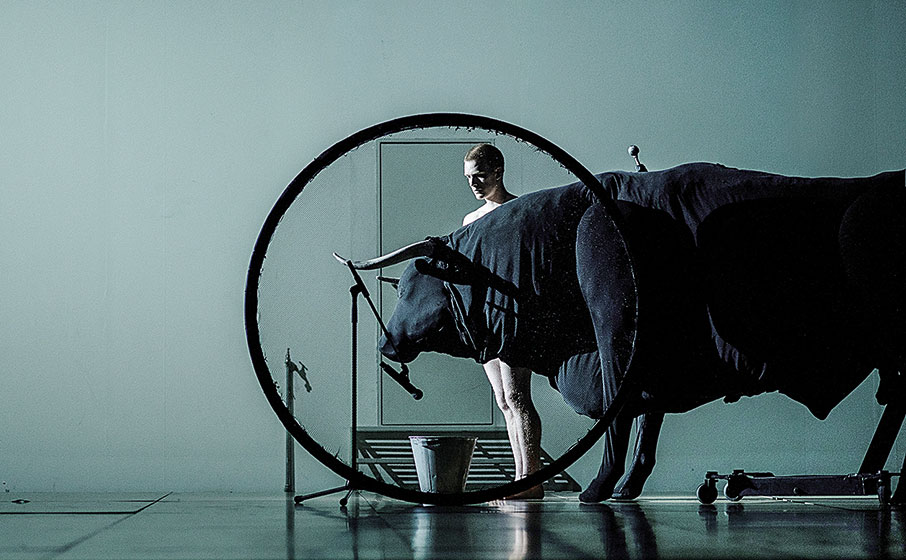 Δημήτρης Παπαϊωάννου: «Διαλέγουμε τη φλόγα που θα μας κάψει»-3