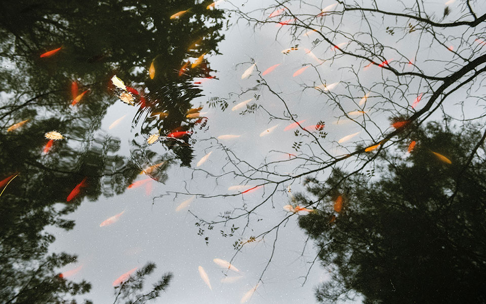 Άλλος για Υμηττό;-6