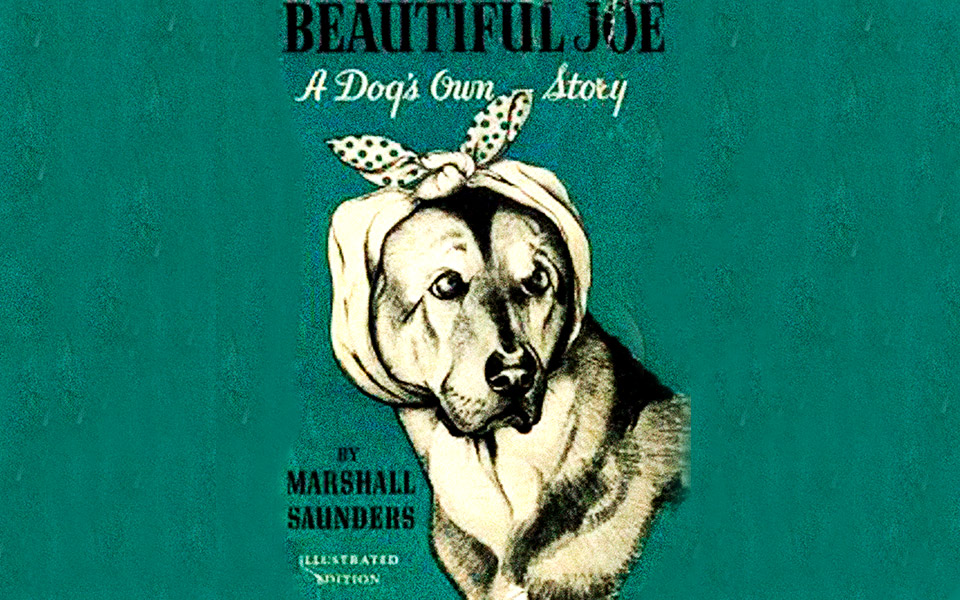 ο-όμορφος-τζο-561597238