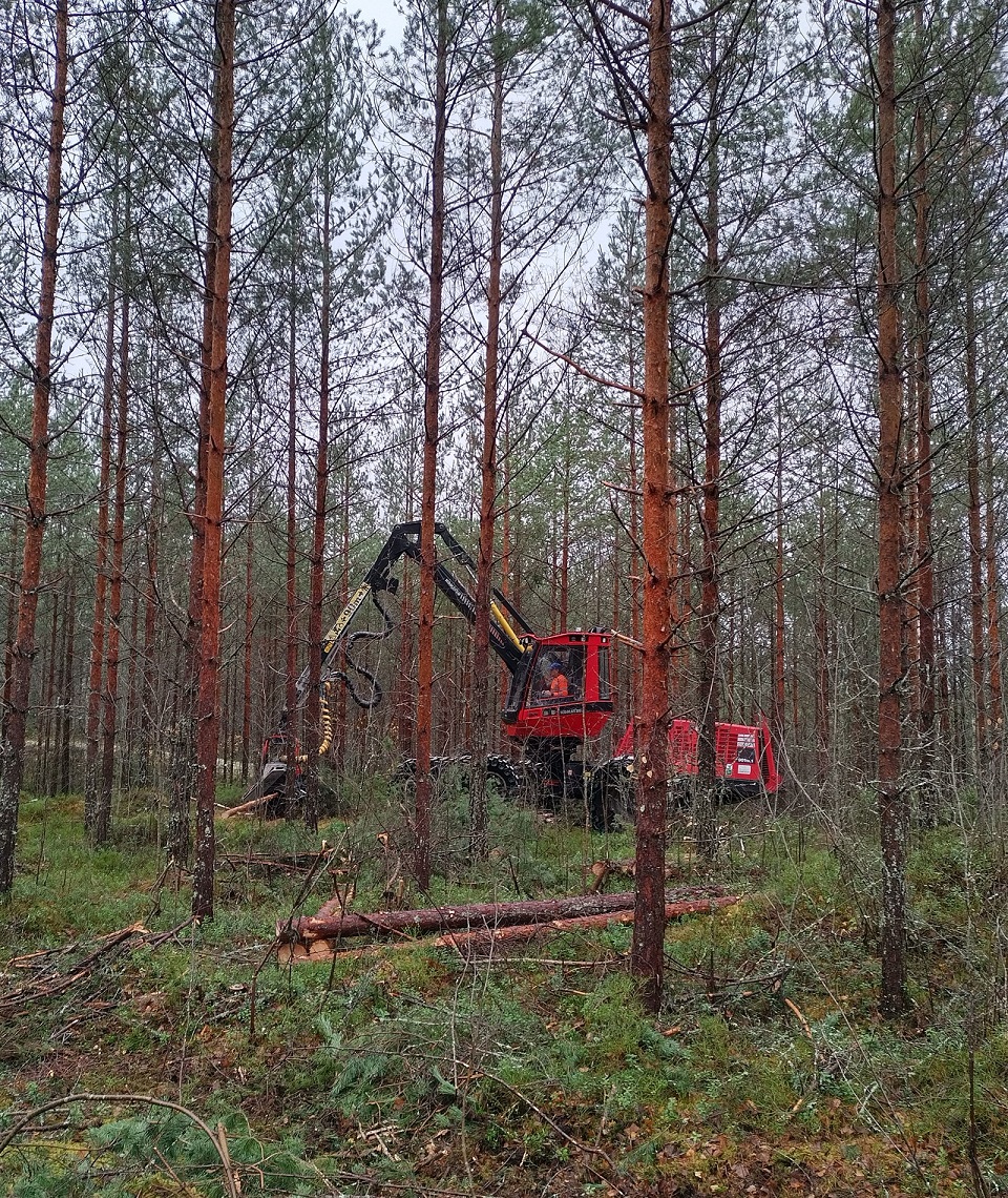 Φινλανδικό μοντέλο και στο κλίμα-12