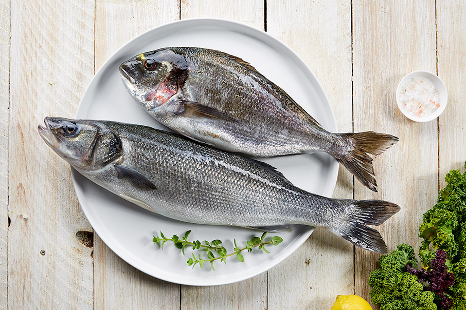 Τελικά, τί ψάρια πιάνουμε; Αλήθειες & ψέμματα γύρω από τις ιχθυοκαλλιέργειες-4