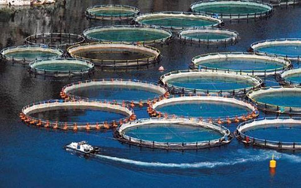 επιδοτήσεις-παράταση-στις-προτάσεις-561575362