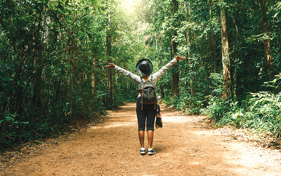 forest-bathing-τι-μπορεί-να-προσφέρει-μια-βόλτα-στ-561576466