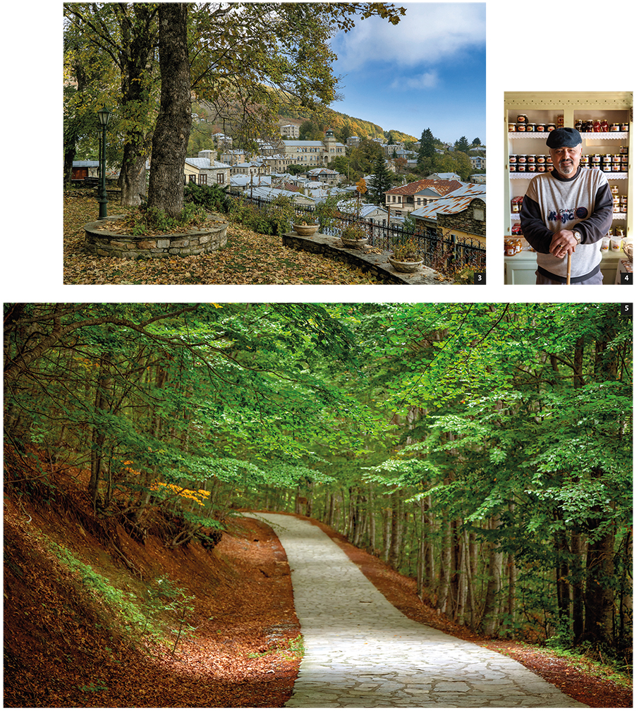 Nυμφαίο: Μαζί με την άγρια ζωή-5