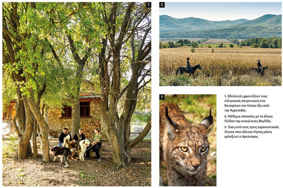 Nυμφαίο: Μαζί με την άγρια ζωή-4