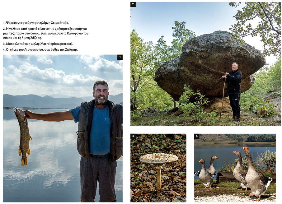 Nυμφαίο: Μαζί με την άγρια ζωή-6