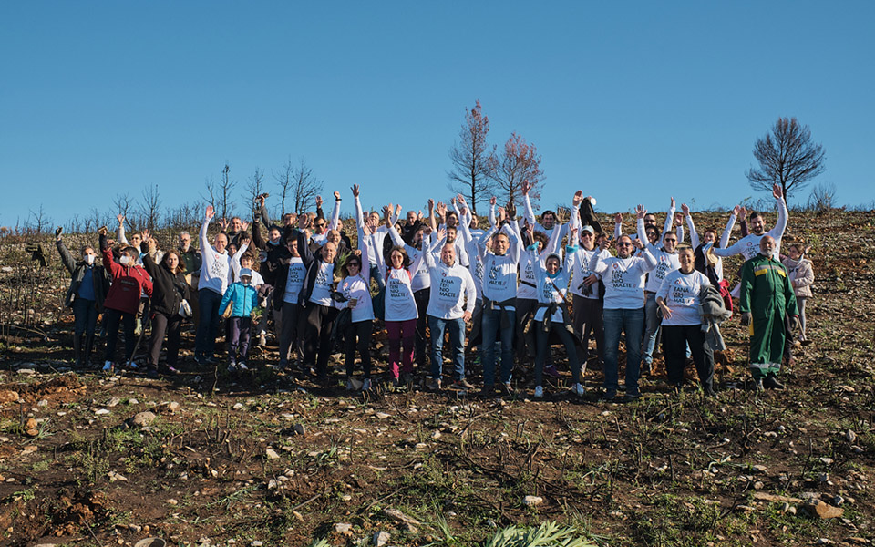 πρόγραμμα-αναδάσωσης-στην-αττική-ελ-561634660
