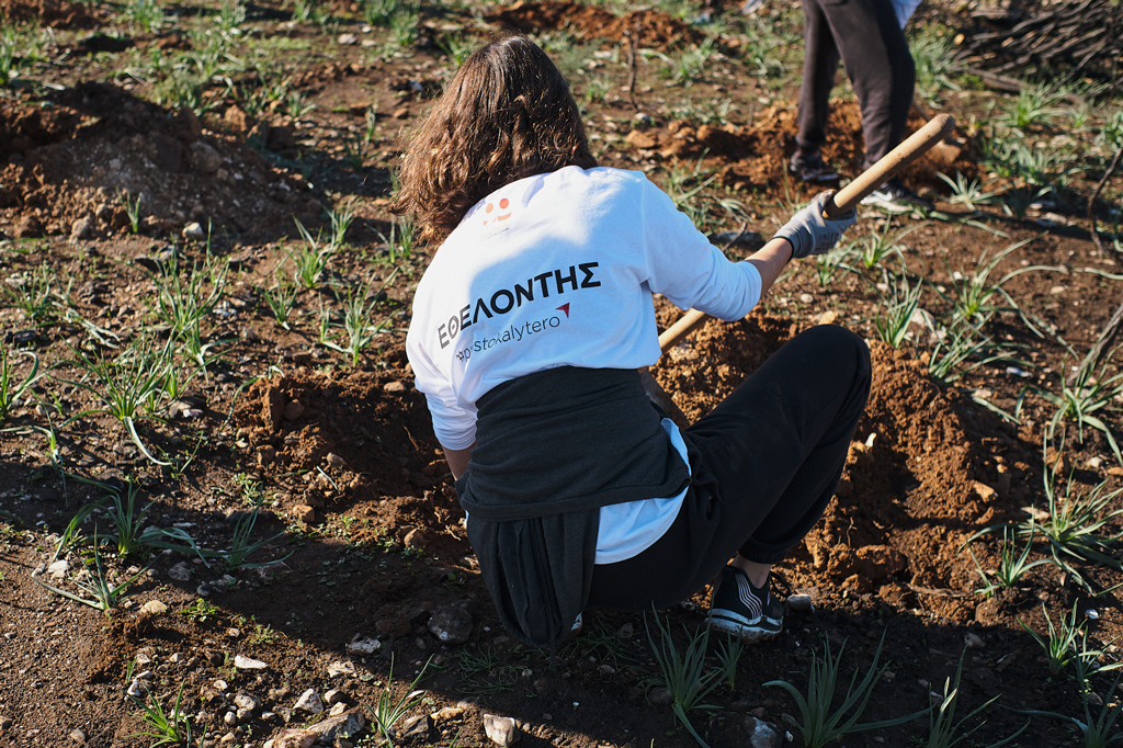 Πρόγραμμα αναδάσωσης στην Αττική – Ελπίδα για πράσινο μετά τις πυρκαγιές-1