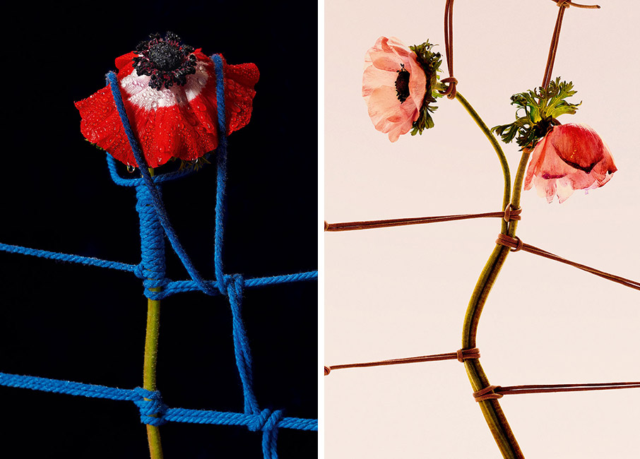 Τα δεμένα λουλούδια του Leonardo Pucci-1