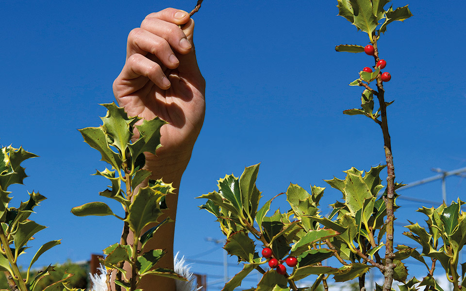 φιληθείτε-κάτω-από-το-ου-561646408