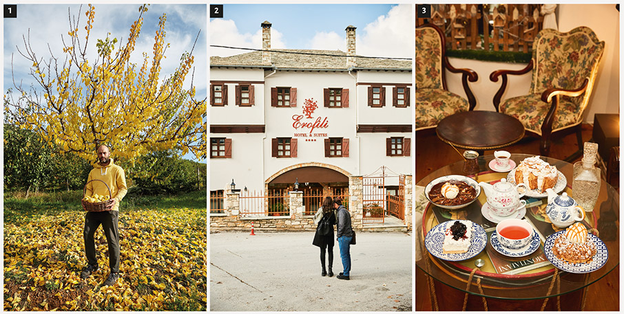 Πορταριά: Η ομορφιά είναι παντού-8