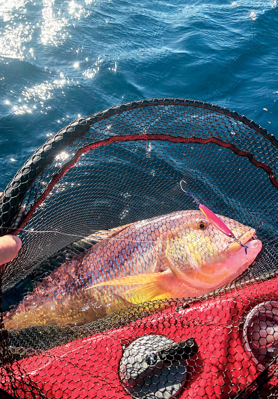 Mικρή βάρκα, μεγάλο ψάρι-4