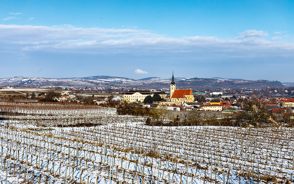 qui-bon-vin-boit-dieu-voit-561619861