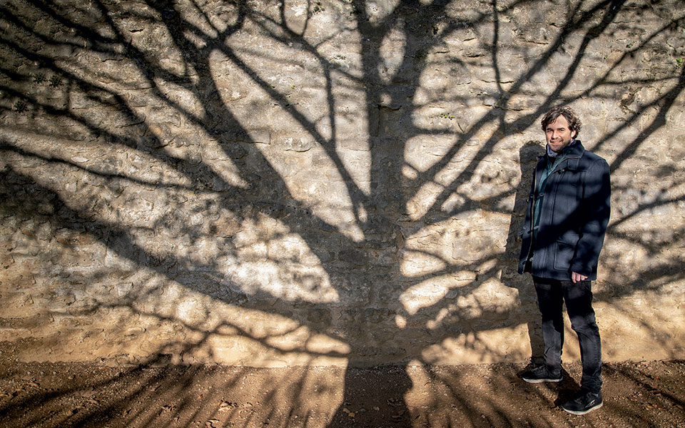 στο-σούπερ-μάρκετ-αγοράζουμε-τα-δέντρ-561627700