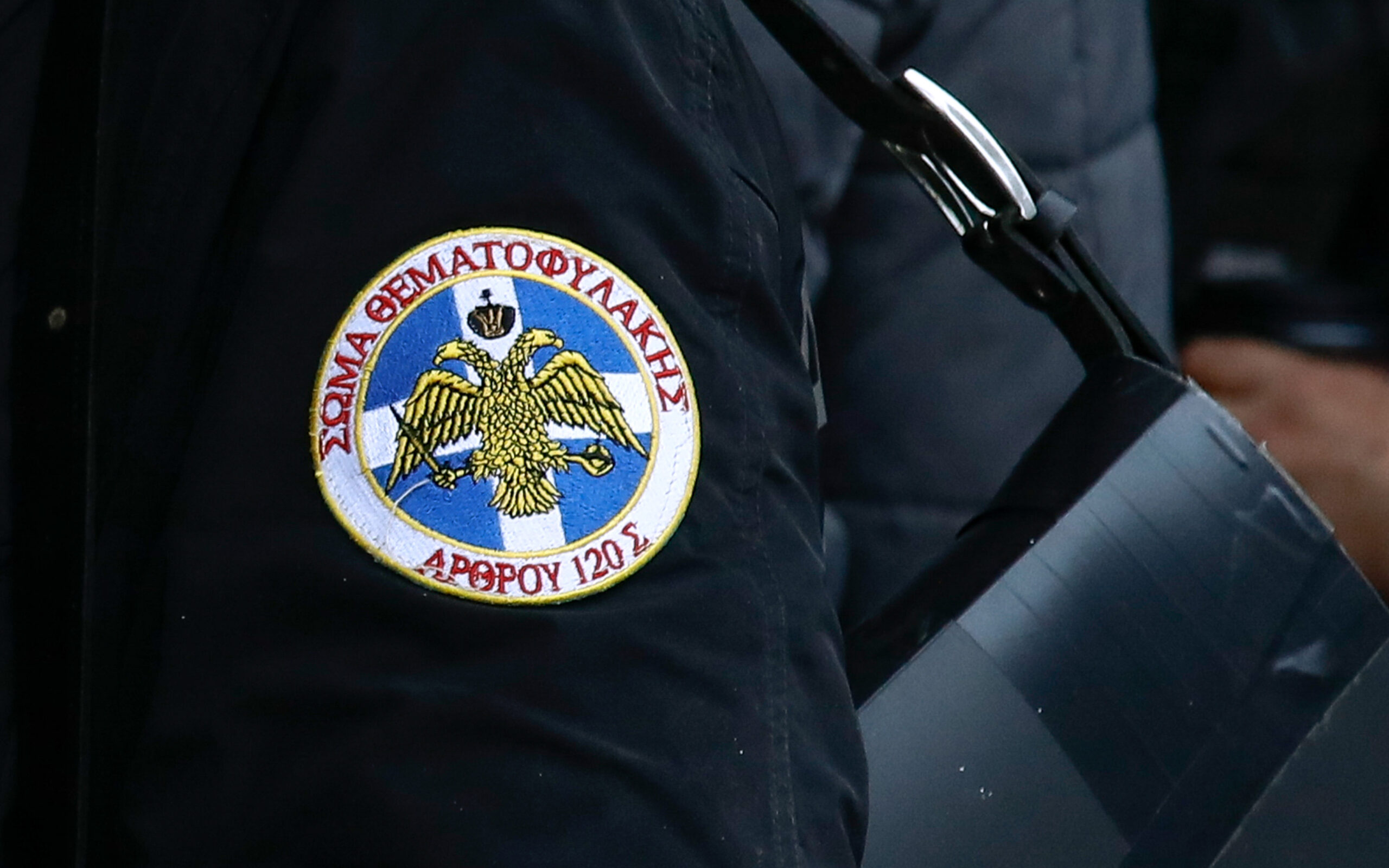 θεματοφύλακες-του-συντάγματος-η-δο-561628141