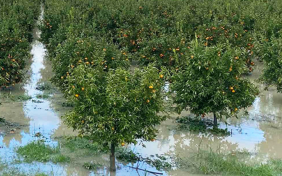 ένα-μεγάλο-μέρος-του-δήμου-έγινε-λίμν-561629308