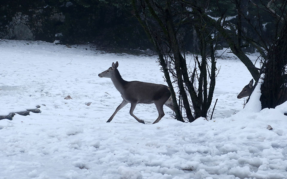 κακοκαιρία-κάρμελ-ποιοι-δρόμοι-είναι-561637645
