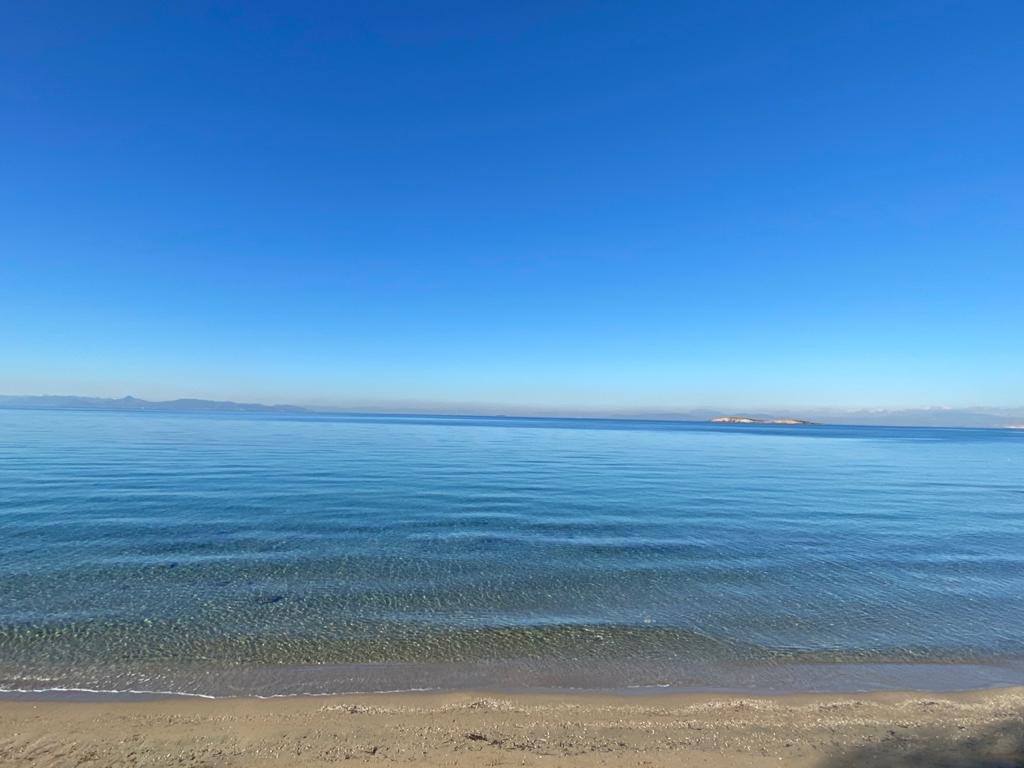 χειμερινή-κολύμβηση-το-καλύτερο-δώρο-561649969