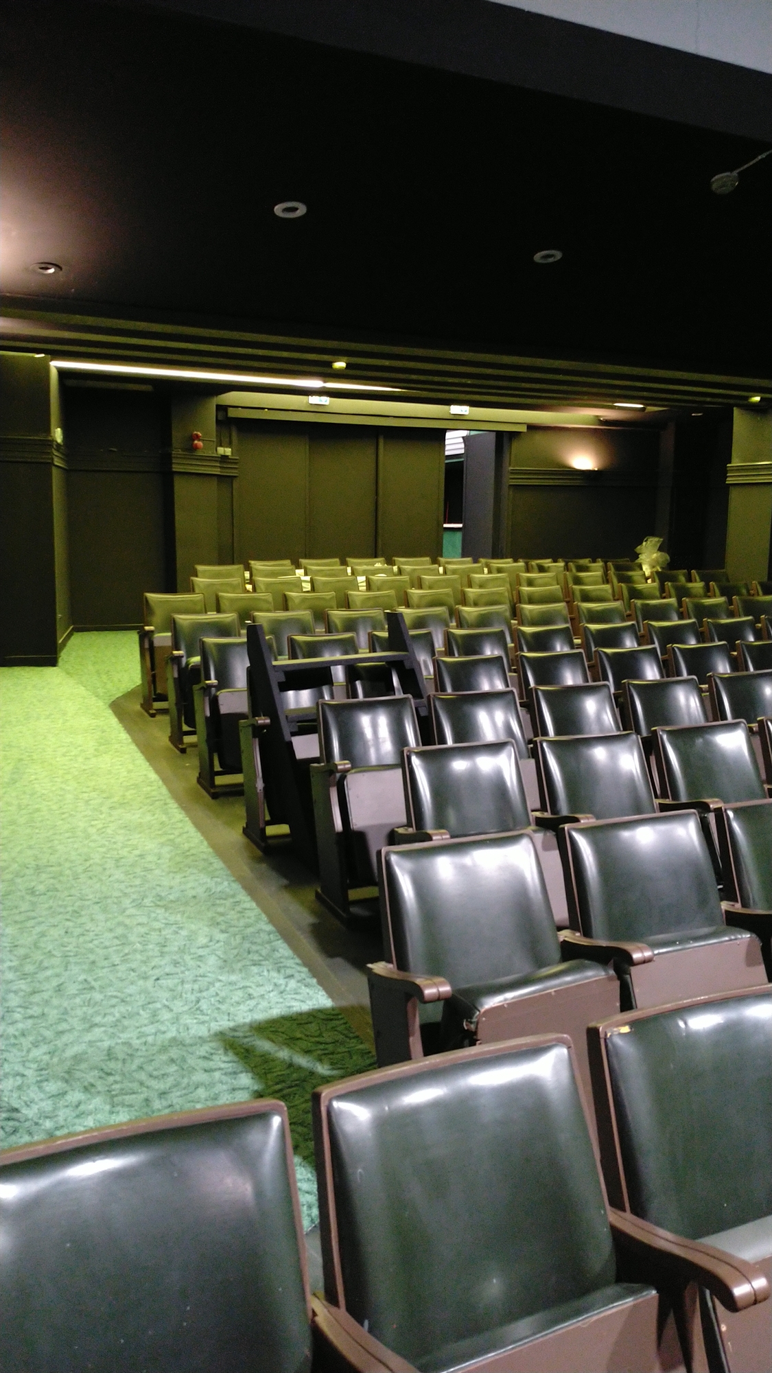 Ελιζέ: Η παράδοση του «ανήσυχου» σινεμά επιστρέφει στα Ιλίσια-1