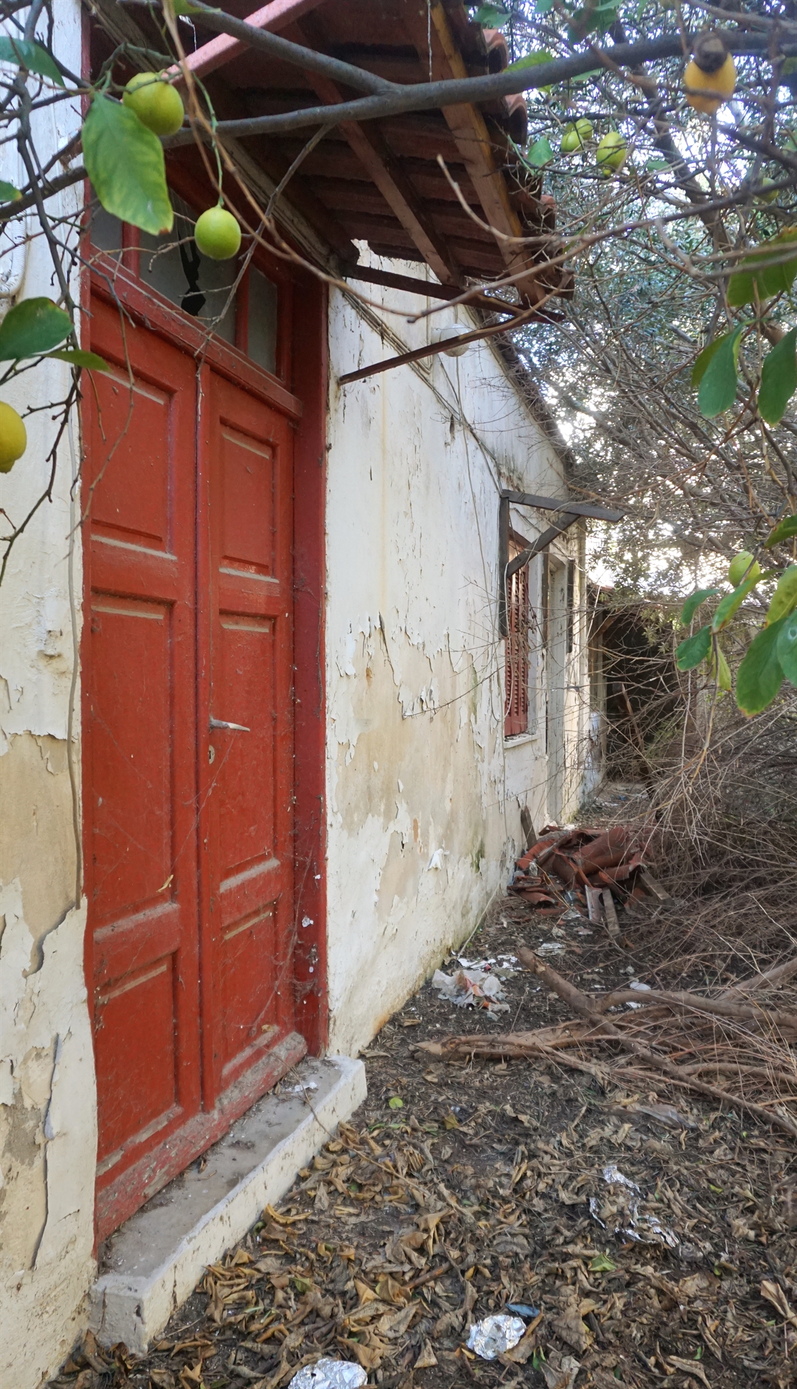 μια-κρυμμένη-αυλή-στην-οδό-σεφέρη-της-δ-561651529