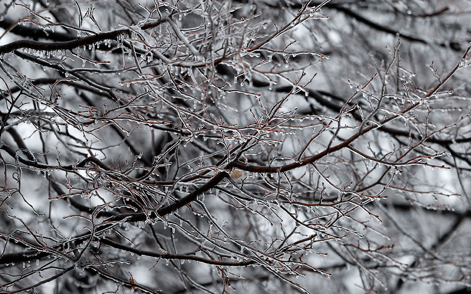 καιρός-γενικά-αίθριος-με-τσουχτερό-κρ-561643654