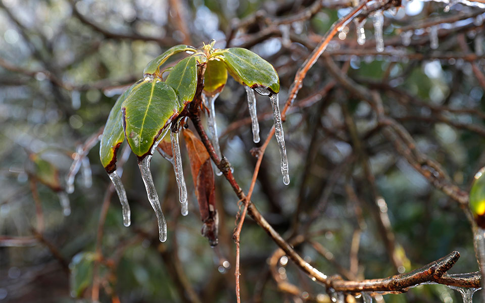καιρός-παγετός-το-πρωί-στα-ορεινά-και-β-561639433