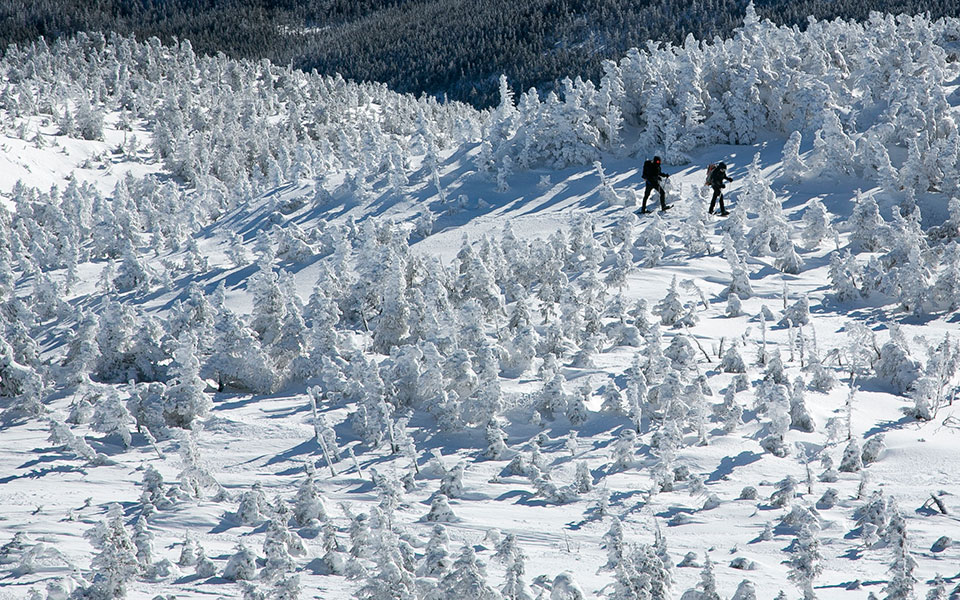 χειμώνας-και-επίσημα-από-σήμερα-το-doodle-561639472
