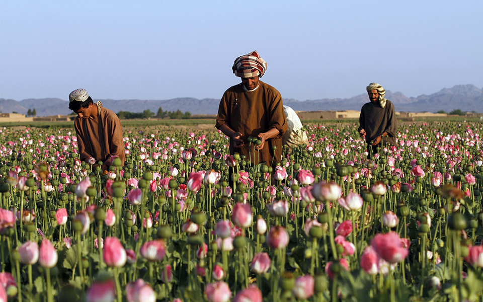 αφγανιστάν-οι-ταλιμπάν-δεν-σταματούν-561631681