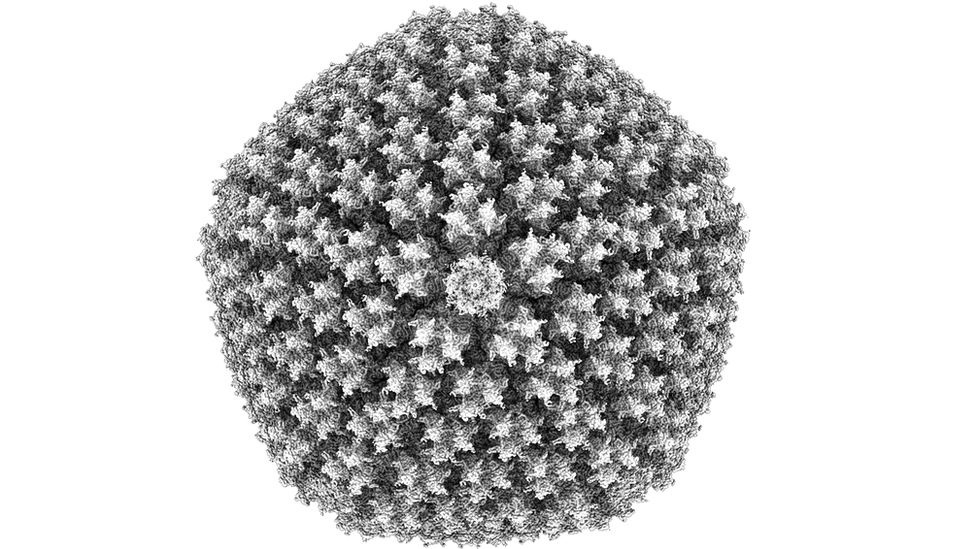 Εμβόλιο AstraZeneca: Εντοπίστηκε η «ένοχη» πρωτεΐνη για τις σπάνιες θρομβώσεις-2