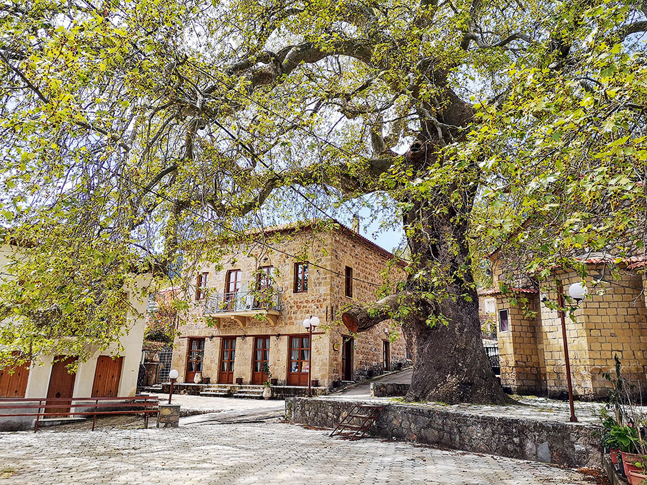 60 ξενώνες για τον χειμώνα-17