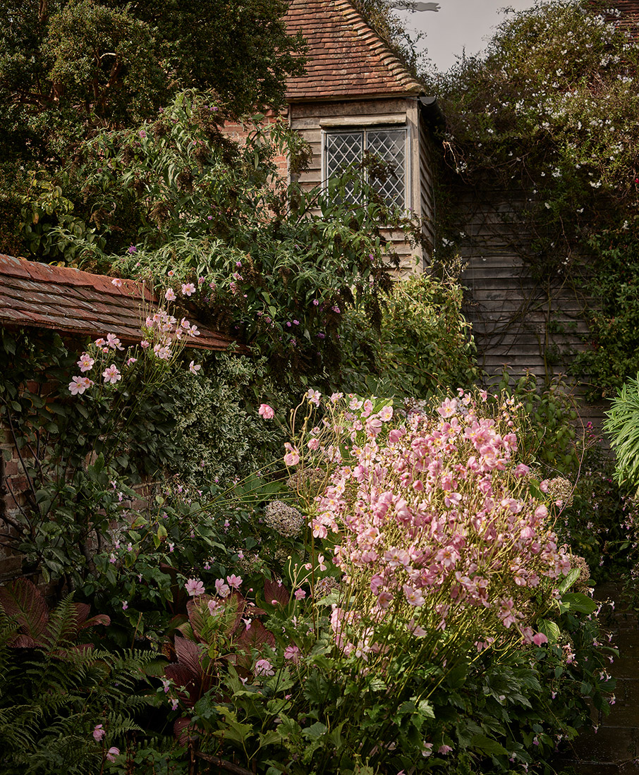 Μαθήματα κηπουρικής σε έναν αγγλικό κήπο-6