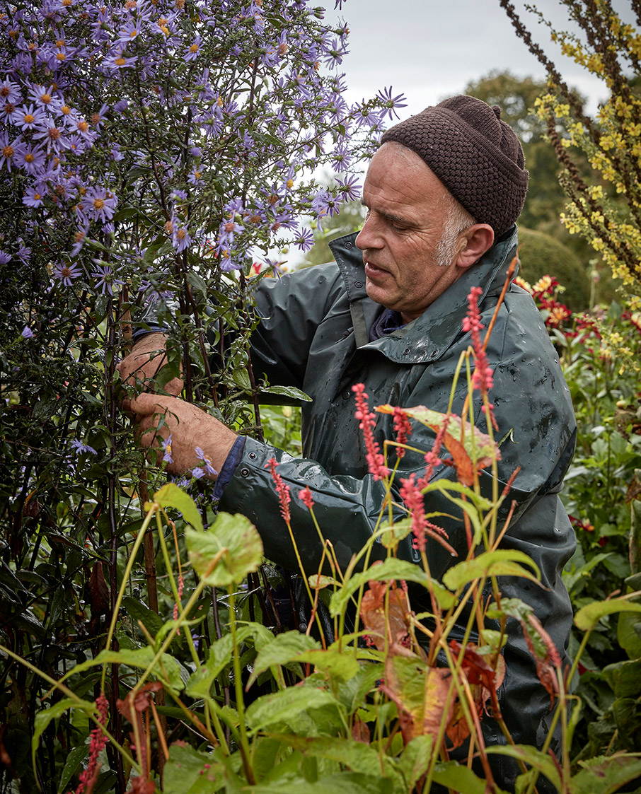 Μαθήματα κηπουρικής σε έναν αγγλικό κήπο-4