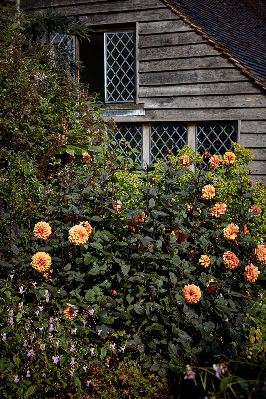 Μαθήματα κηπουρικής σε έναν αγγλικό κήπο-2