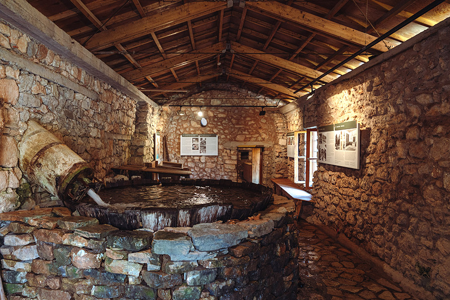 Δημητσάνα: Στα μονοπάτια της Ιστορίας-4