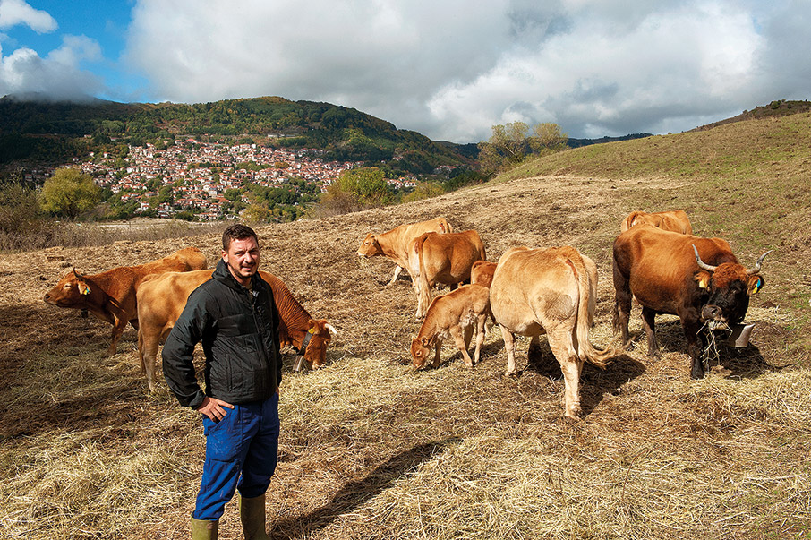 Μέτσοβο: Διαδρομές στη φύση-5