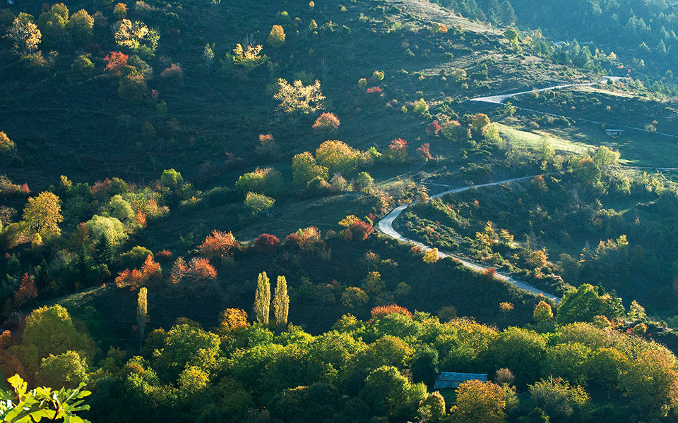 μέτσοβο-διαδρομές-στη-φύση-561629713