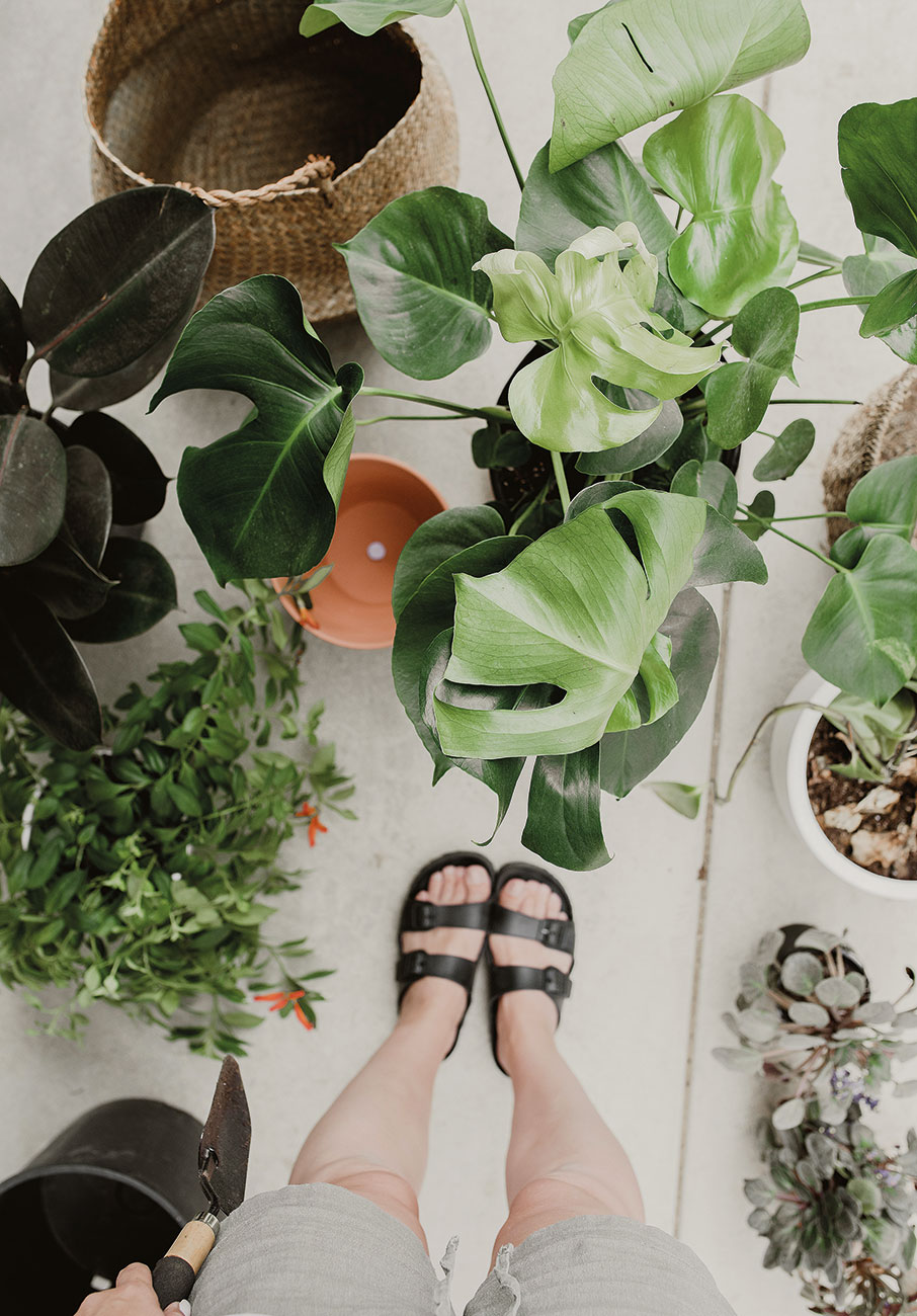 Πώς ερωτεύτηκα τις γλάστρες μου-2