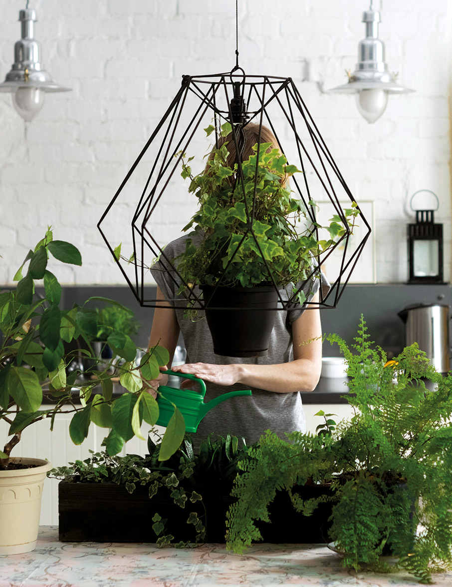 Πώς ερωτεύτηκα τις γλάστρες μου-1