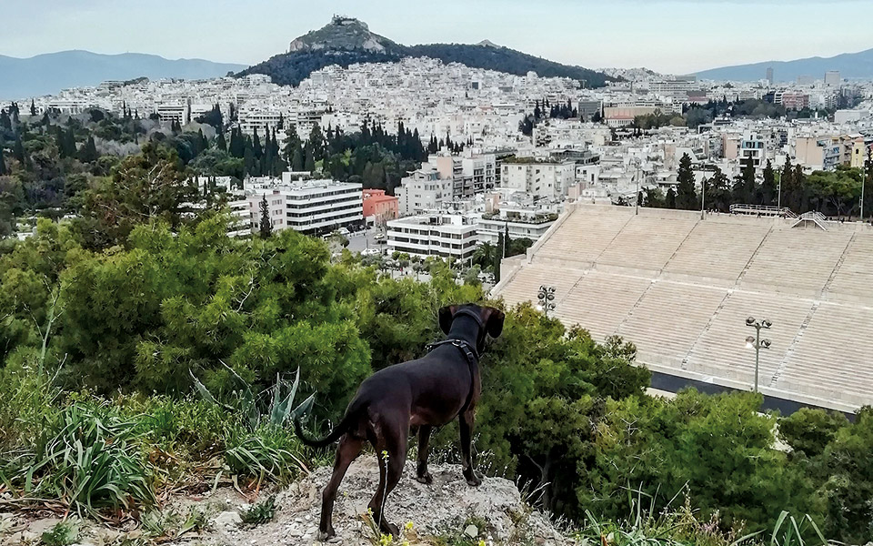 έξι-χαϊκού-γύρω-απ-το-βατραχονήσι-561621511