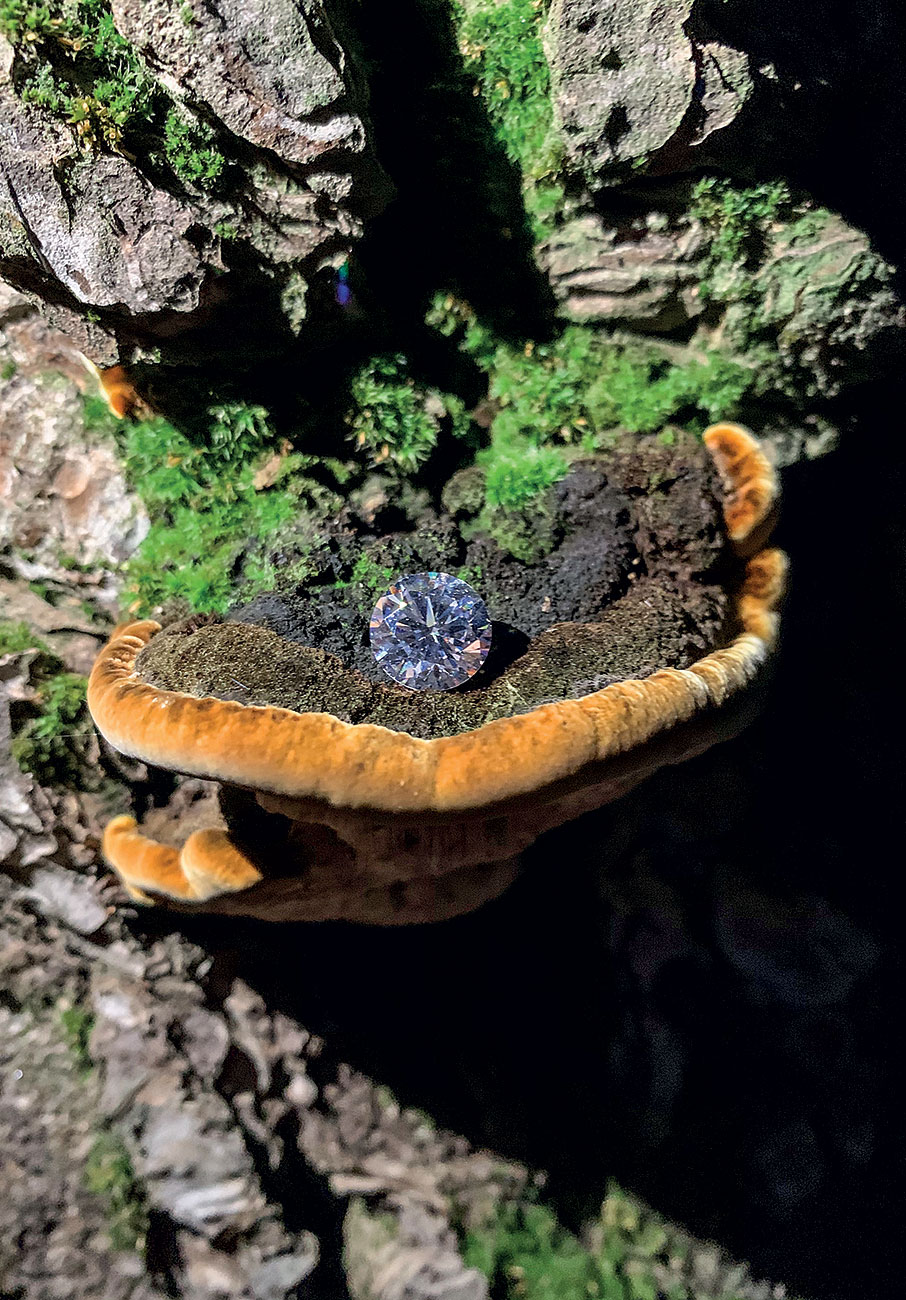 Διαμάντια εργαστηρίου: Παντοτινά & ηθικά-2