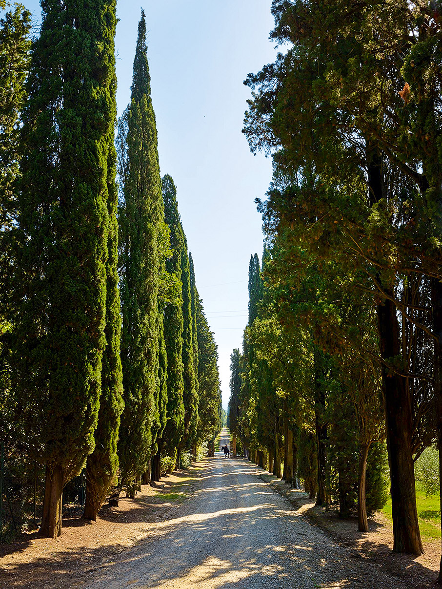 Η μουσική, το κρασί & o Στινγκ-1
