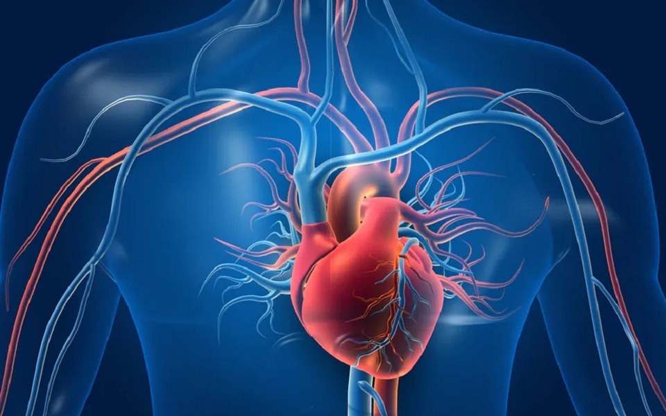 βρετανία-έλληνες-επιστήμονες-έδειξα-561617098