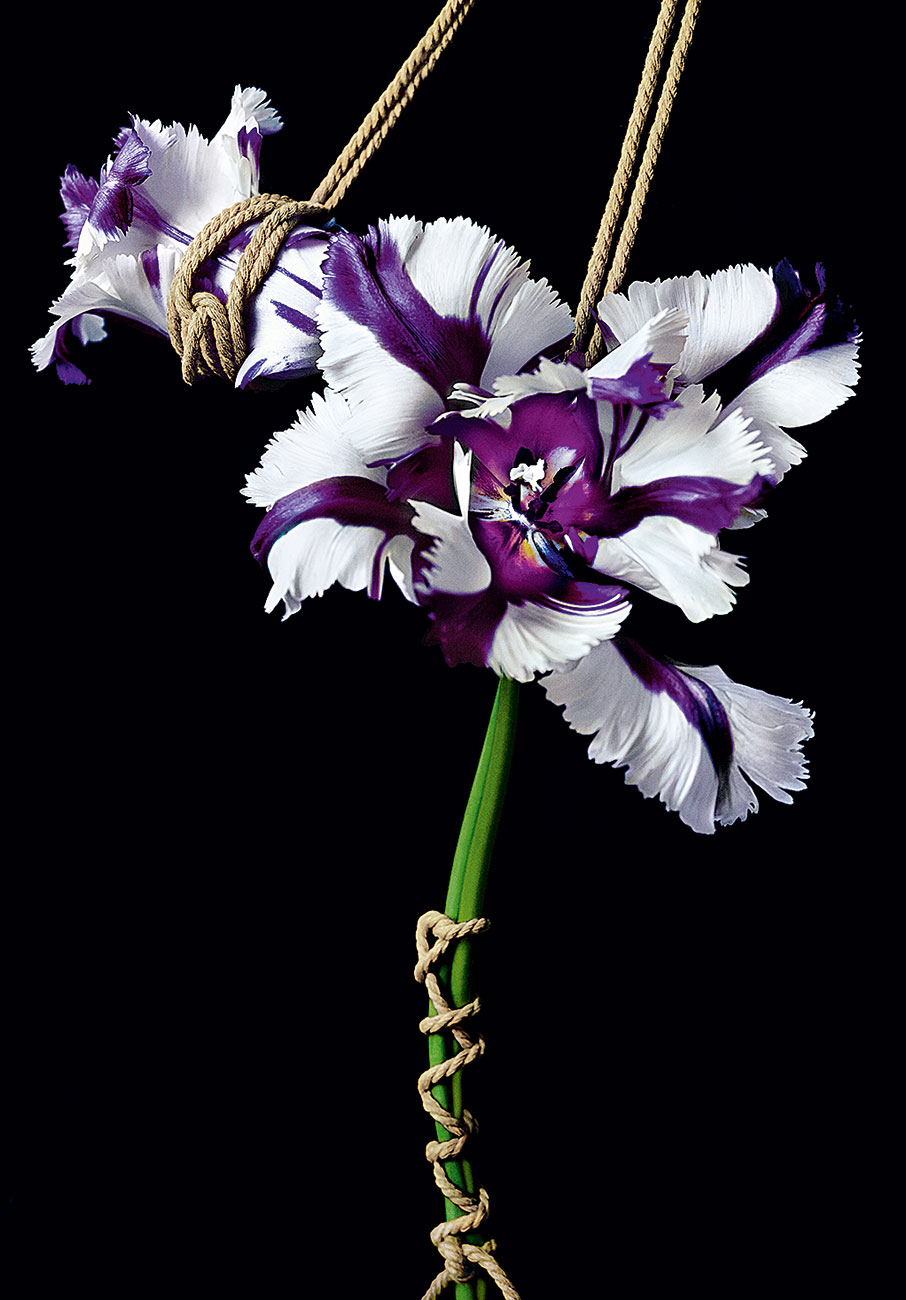 Τα δεμένα λουλούδια του Leonardo Pucci-3